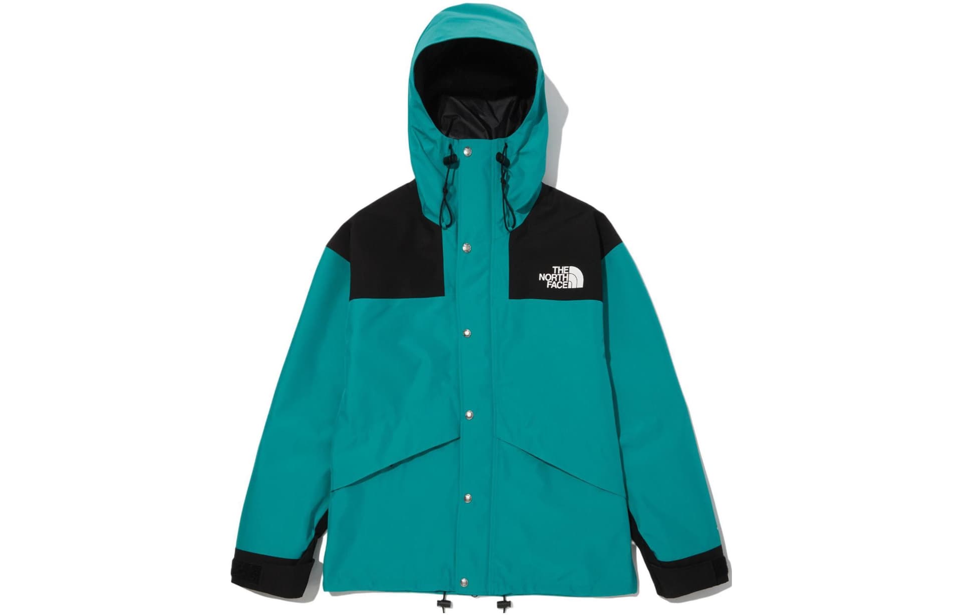 Куртка The North Face Retro1986 Futurelight Mountain Jacket - изображение 1