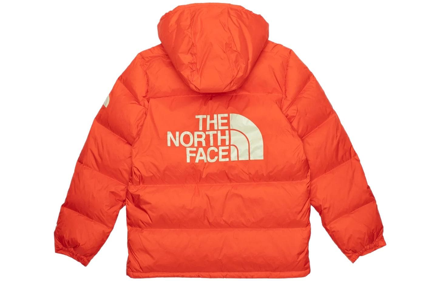 Зимняя куртка The North Face - изображение 1