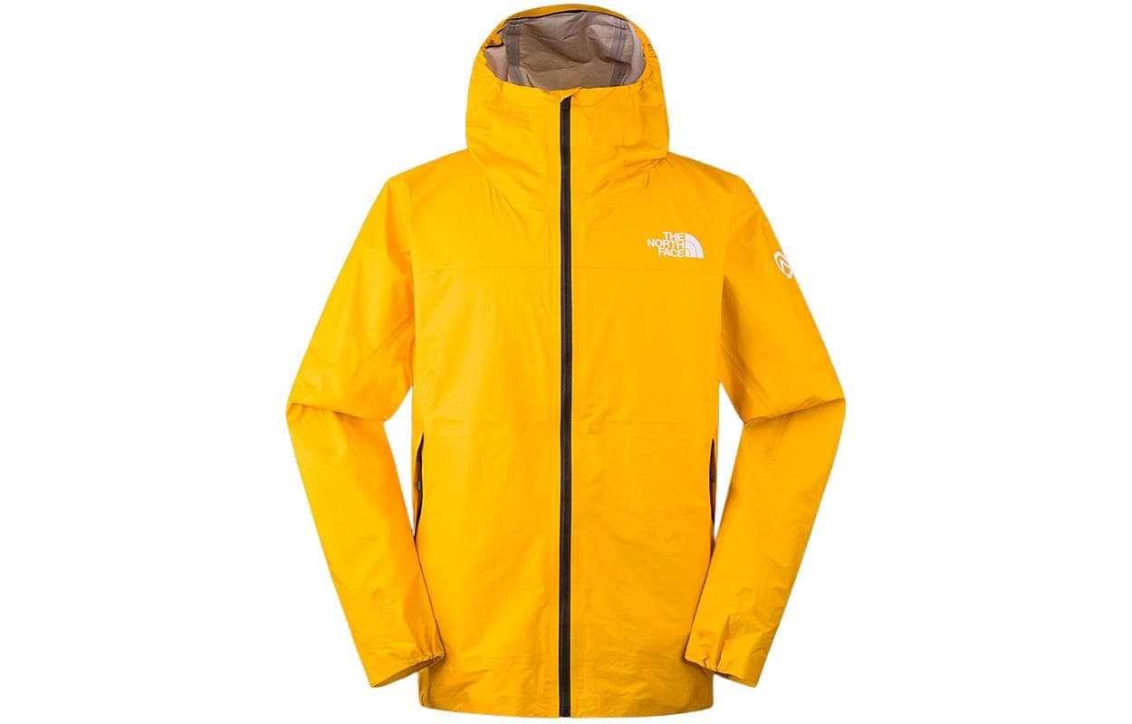 Демисезонная куртка THE NORTH FACE Papsura Logo - изображение 1
