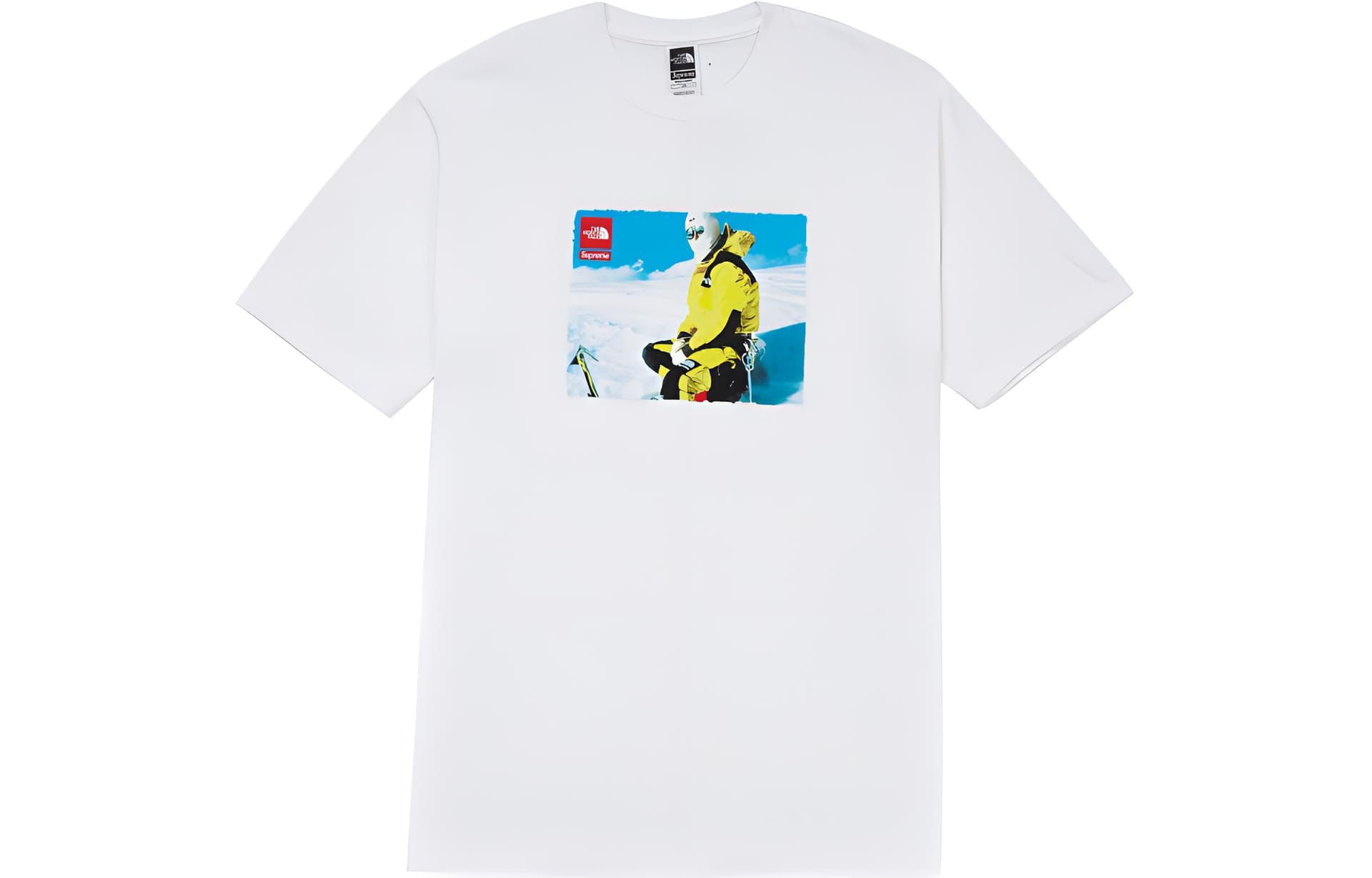 Футболка Supreme x The North Face FW18 White Tee - изображение 1