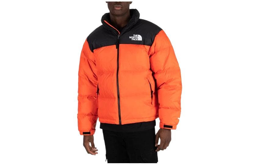 Зимняя куртка THE NORTH FACE FW22 1996 Nuptse Logo700 - изображение 1