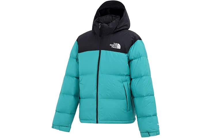 Зимняя куртка THE NORTH FACE 1996 Retro Nuptse 700 - изображение 1