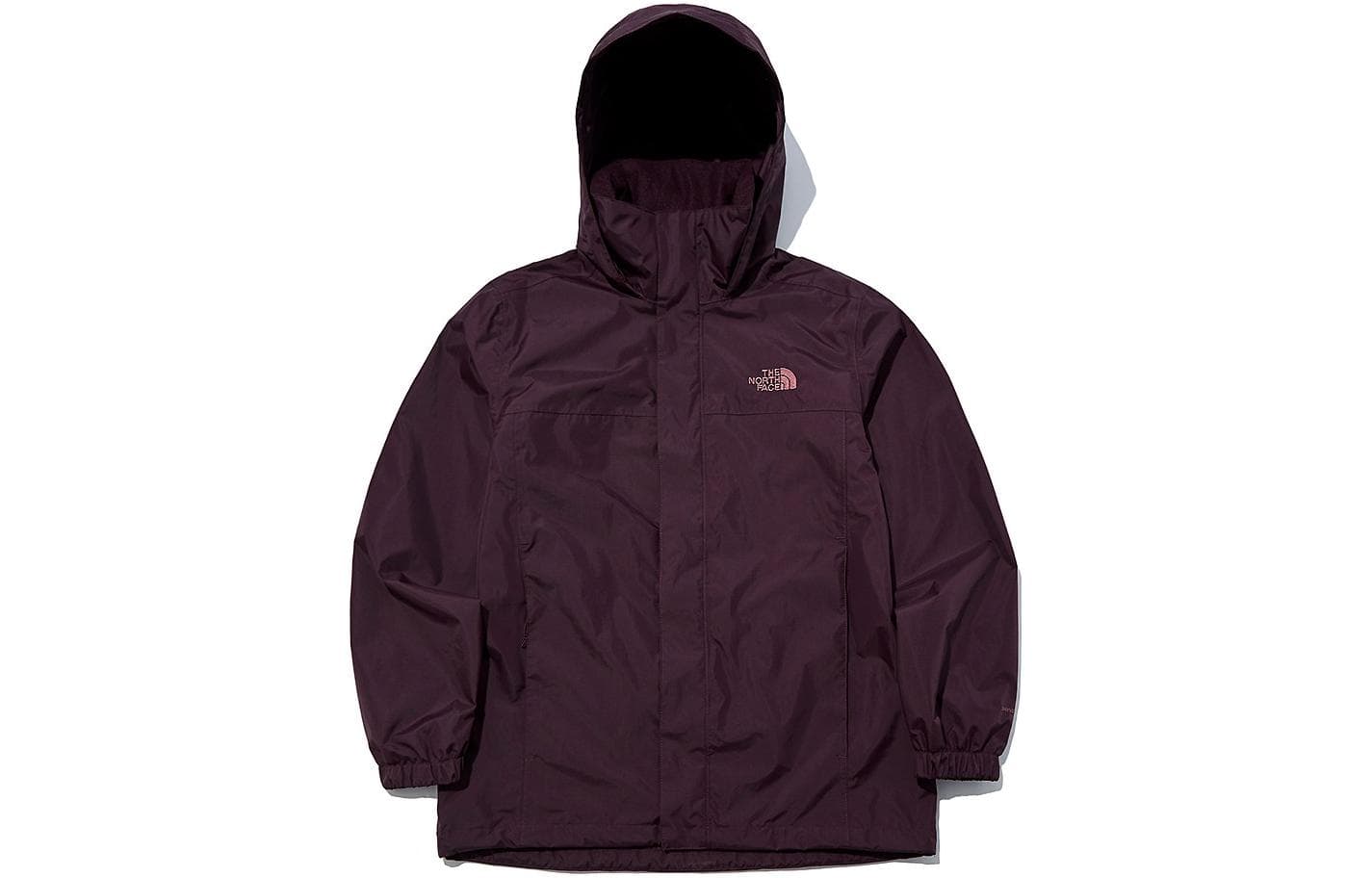 Демисезонная куртка THE NORTH FACE Logo - изображение 1