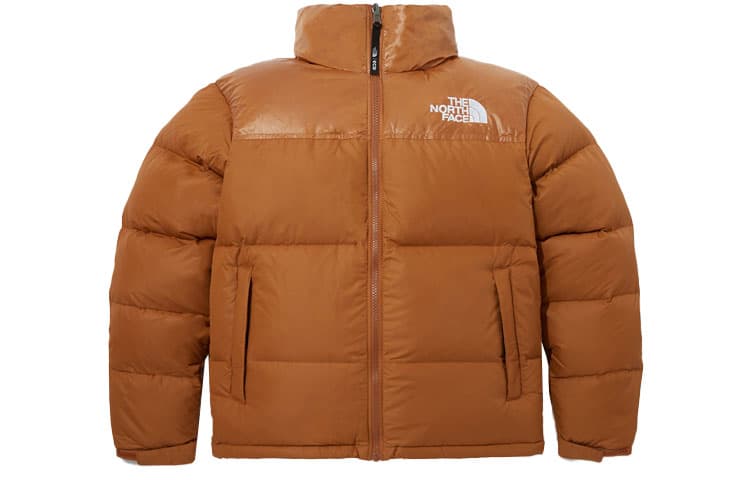 Зимняя куртка THE NORTH FACE - изображение 1