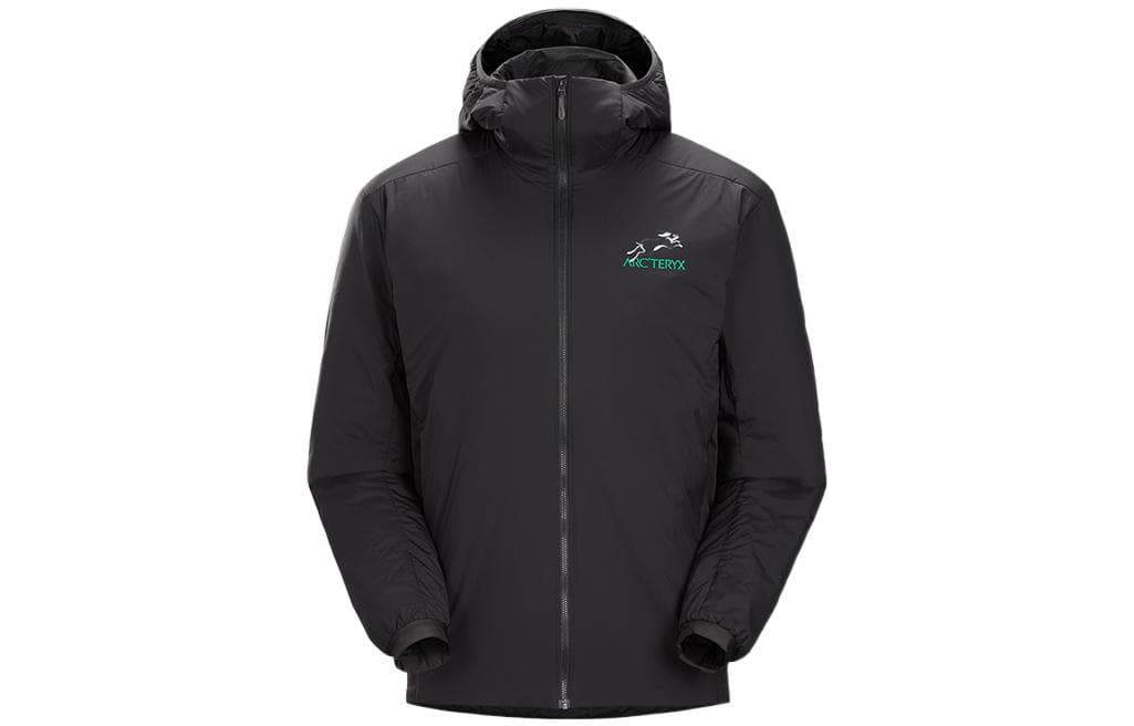 Зимняя куртка пуховик Arcteryx Atom ARCTERYX LNY 2023 - изображение 1