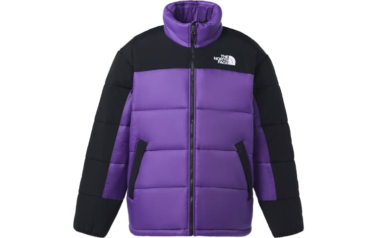 Зимняя куртка пуховик The North Face - изображение 1