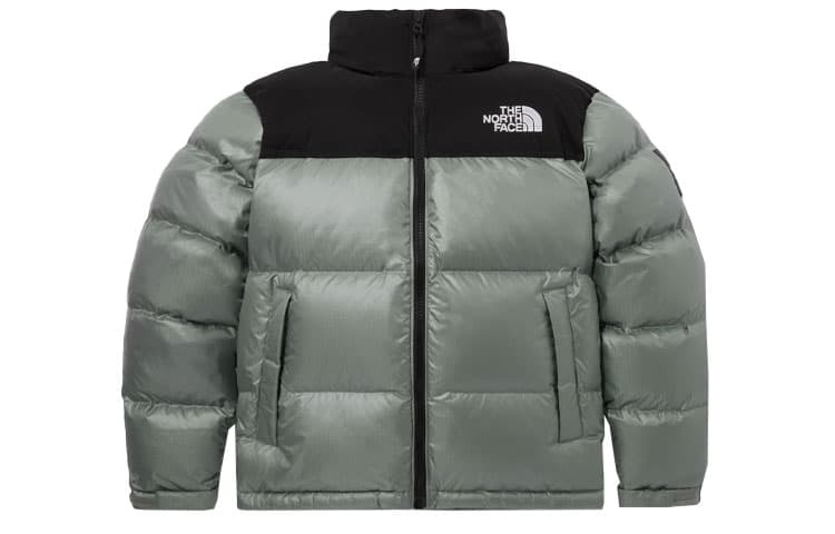 Зимняя куртка The North Face Novelty Nuptse Down Jacket Green - изображение 1