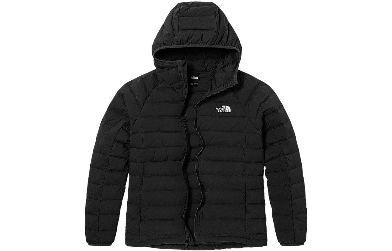 Зимняя куртка The North Face - изображение 1
