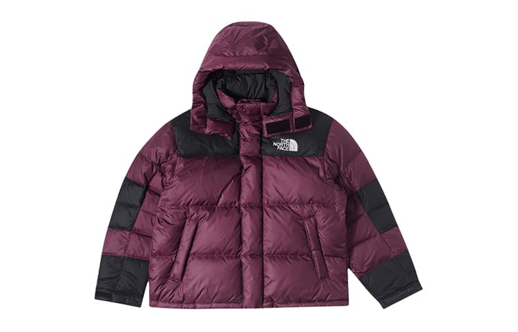 Зимняя куртка The North Face Urban Exploration 600 Fill Down Jacket - изображение 1