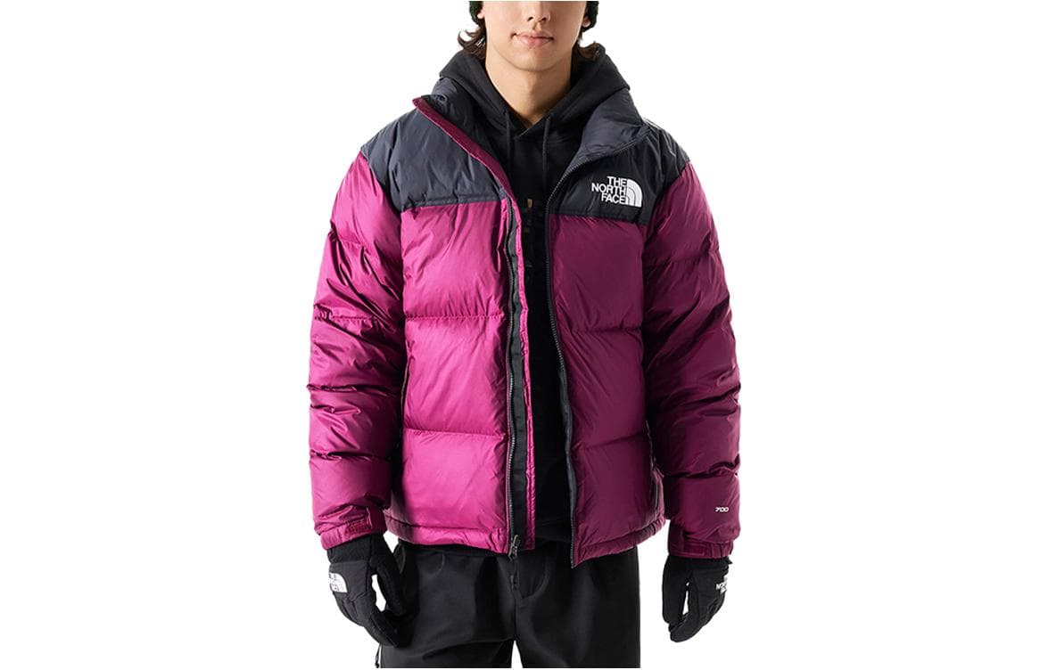 Зимняя куртка The North Face 1996 Series - изображение 1