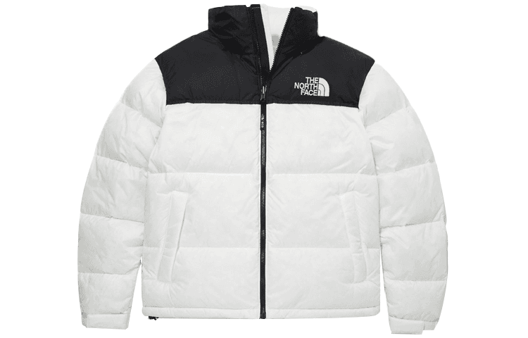 Зимняя куртка The North Face 1996 Eco Nuptse Jacket - изображение 1