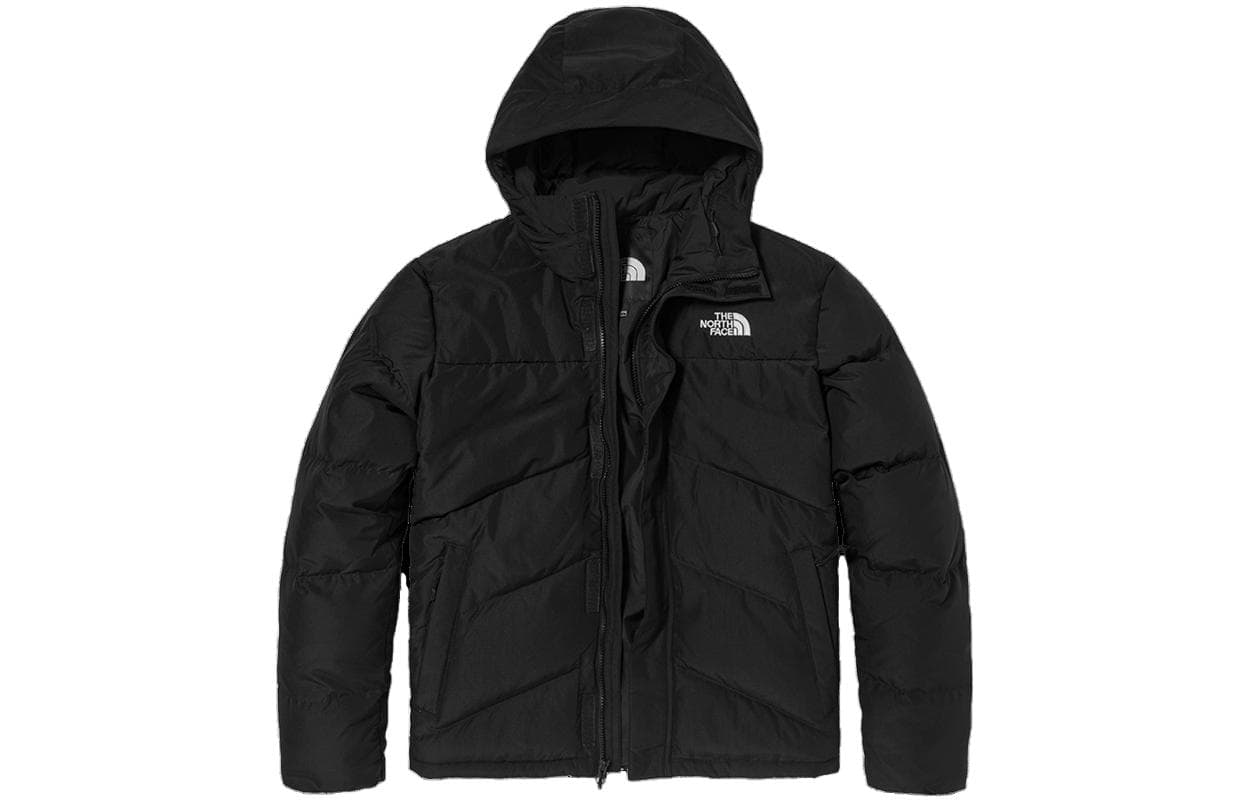 Зимняя куртка The North Face - изображение 1