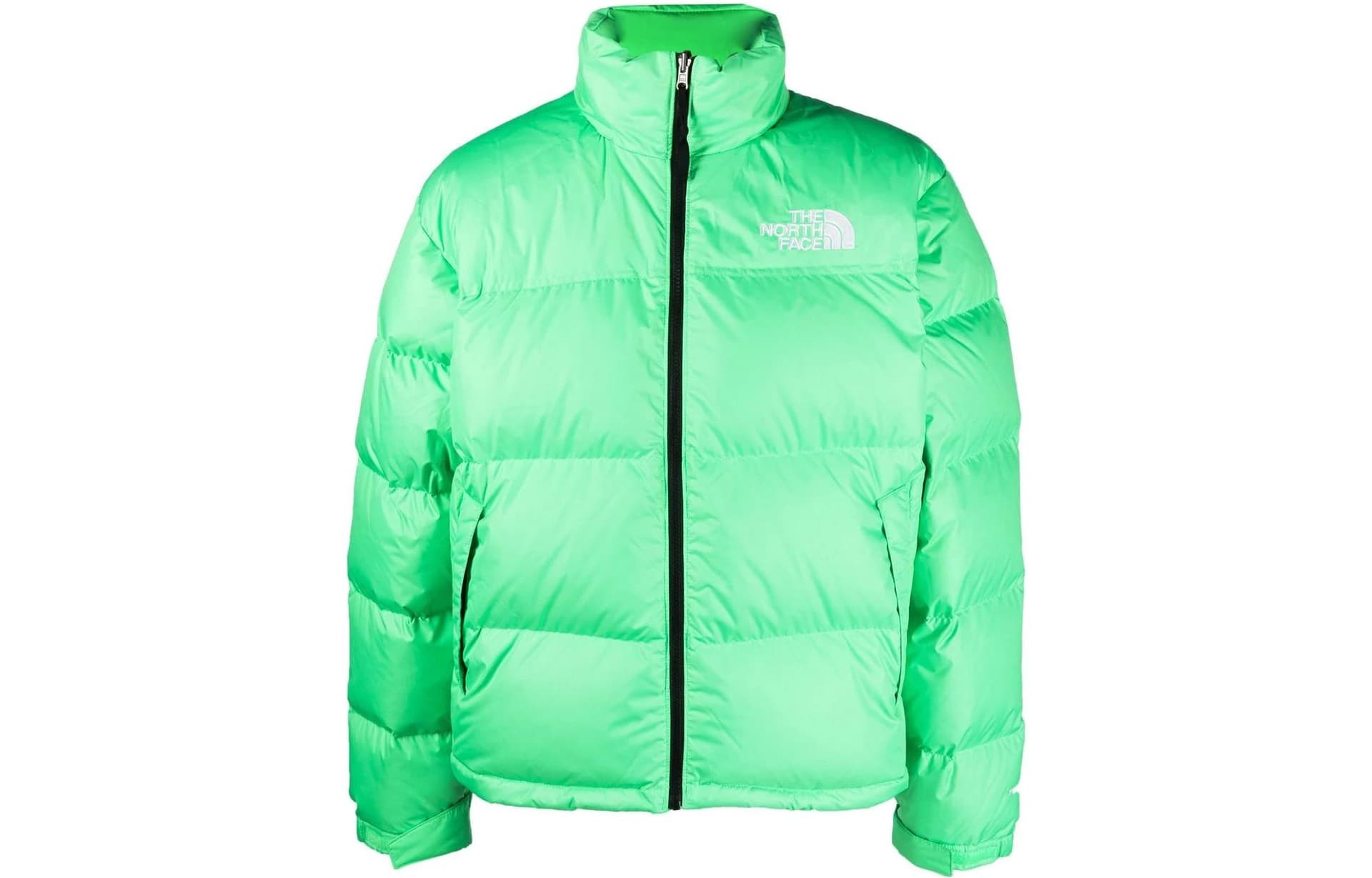 Зимняя куртка The North Face 1996 Series 700 Down Jacket Green - изображение 1