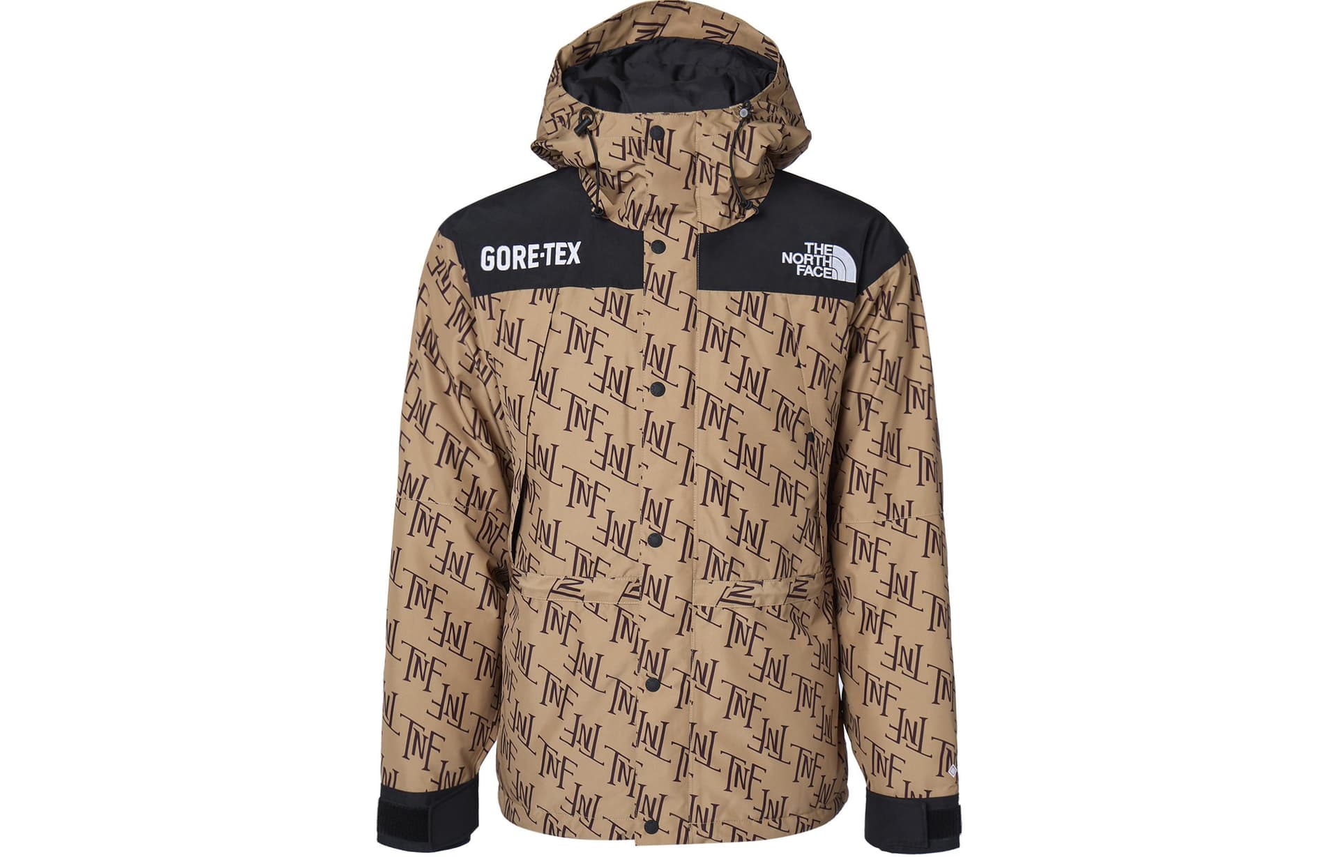Зимняя куртка The North Face GORETEX600 Almond - изображение 1