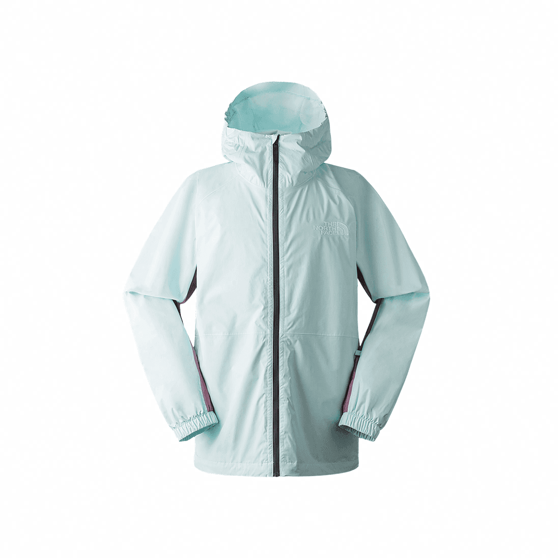 Куртка THE NORTH FACE Logo - изображение 1
