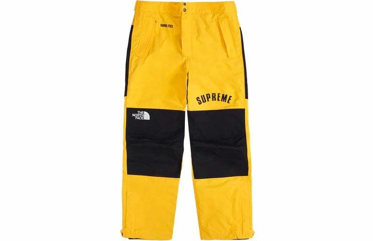 Штаны Supreme x THE NORTH FACE SS19 - изображение 1