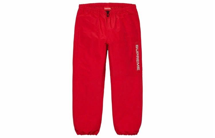 Штаны Supreme FW19 Week 2 Heavy Nylon Pant - изображение 1