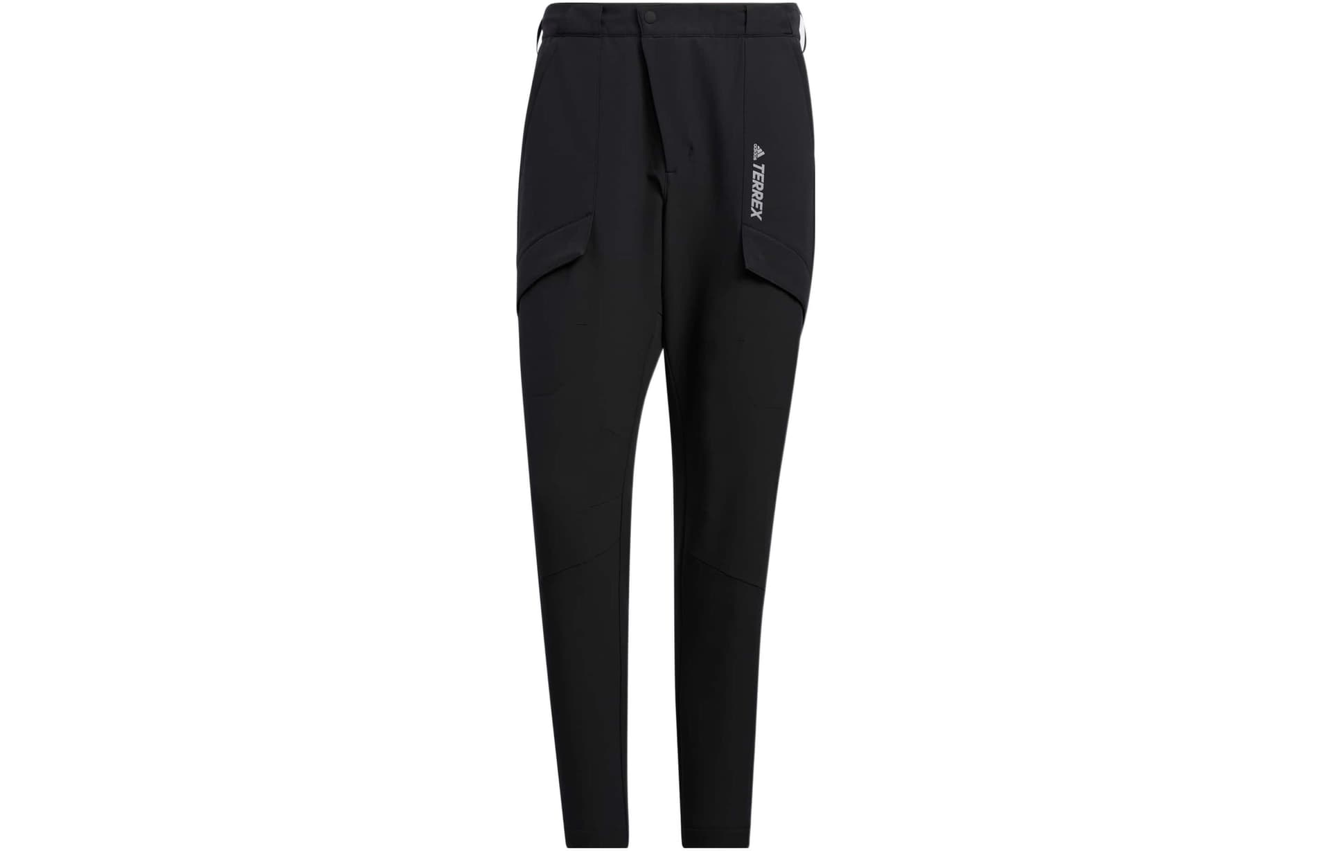 Штаны adidas Terrex Dwr Pants Logo - изображение 1