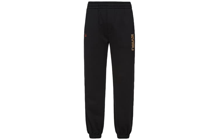 Штаны EVISU logo - изображение 1