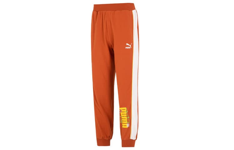 Штаны Puma Ff Knit Pants Logo - изображение 1