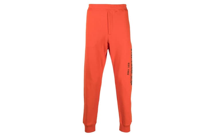 Штаны Alexander McQueen Logo - изображение 1