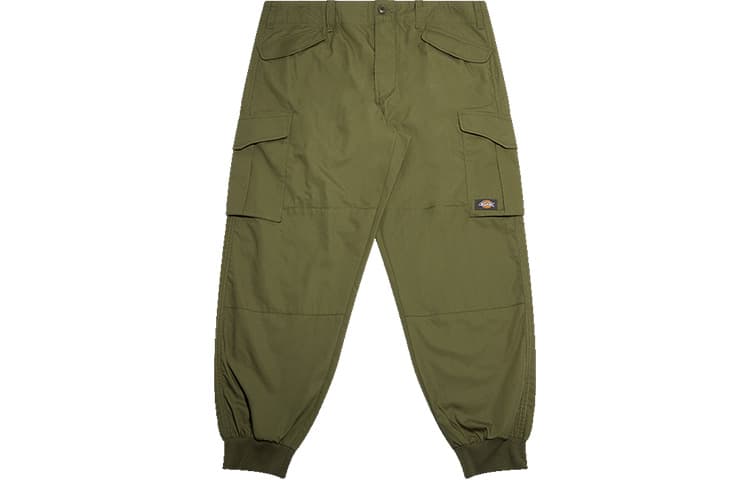 Штаны Dickies - изображение 1
