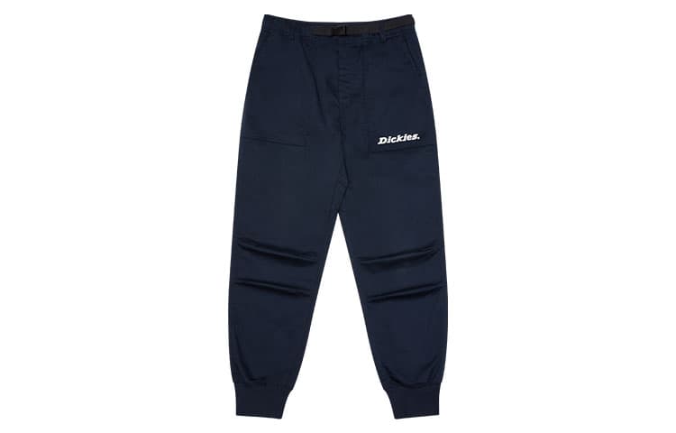Штаны Dickies Logo - изображение 1