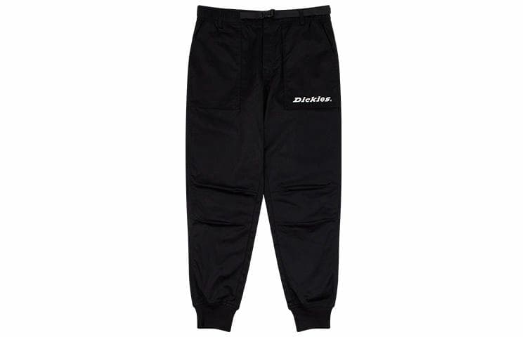 Штаны Dickies SS21 Logo - изображение 1