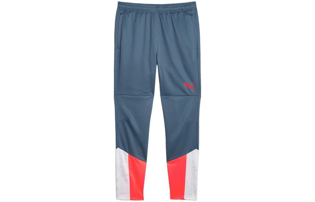 Штаны PUMA Individualcup Training Pants - изображение 1