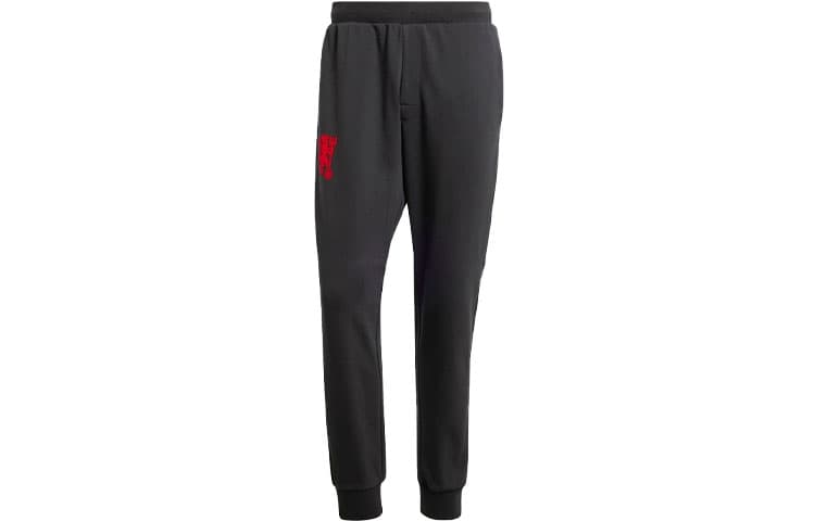 Штаны adidas FW23 CNY Logo - изображение 1