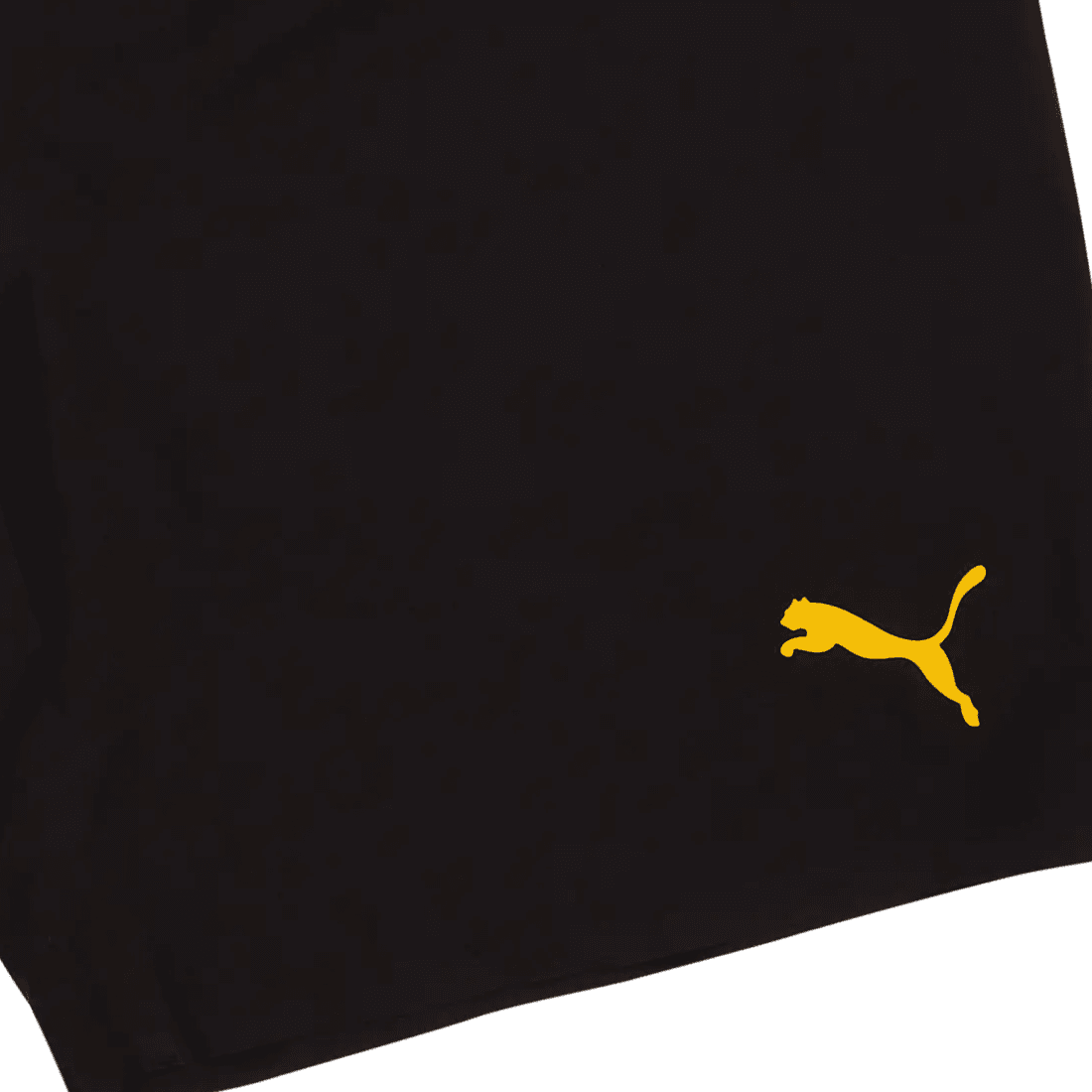 Тренировочные штаны PUMA logo 2022-23 - изображение 3
