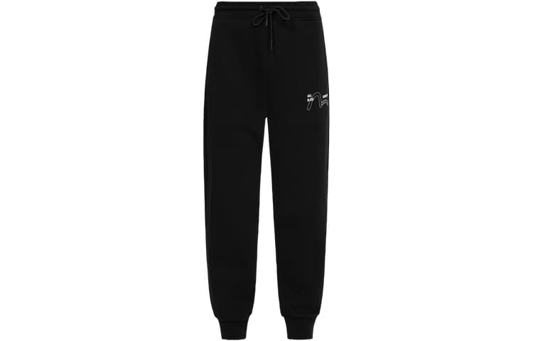 Штаны EVISU AW23 Logo - изображение 1