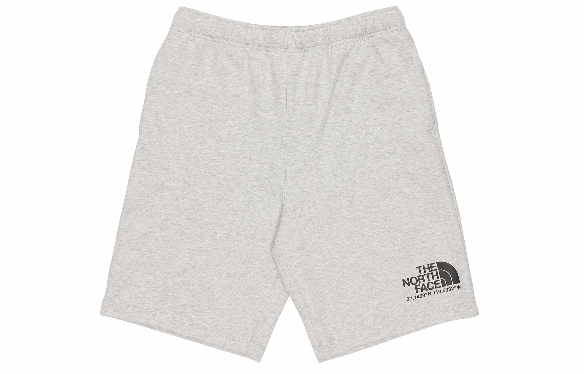 Шорты THE NORTH FACE Logo - изображение 1