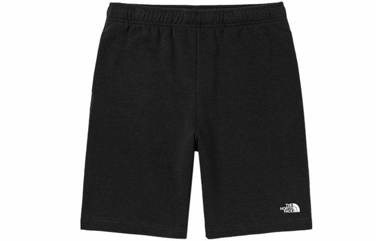 Шорты THE NORTH FACE Logo - изображение 1