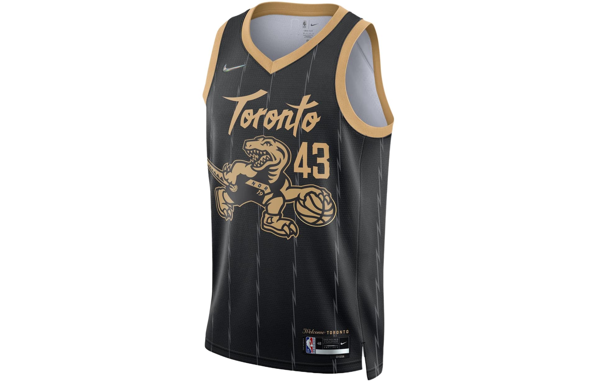 Баскетбольная майка Nike NBA Toronto Raptors Siakam 43 Jersey Black - изображение 1
