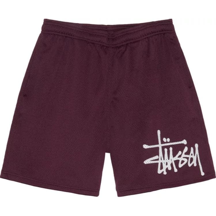 Шорты Stussy Big Basic Mesh Short Logo - изображение 1