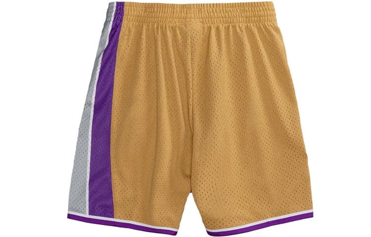 Баскетбольные шорты Mitchell Ness SW 05-06 - изображение 1