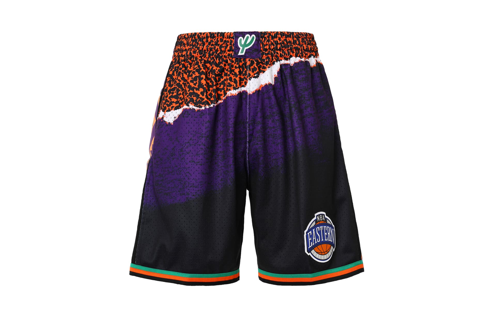 Баскетбольные шорты Mitchell Ness SW 95 - изображение 1