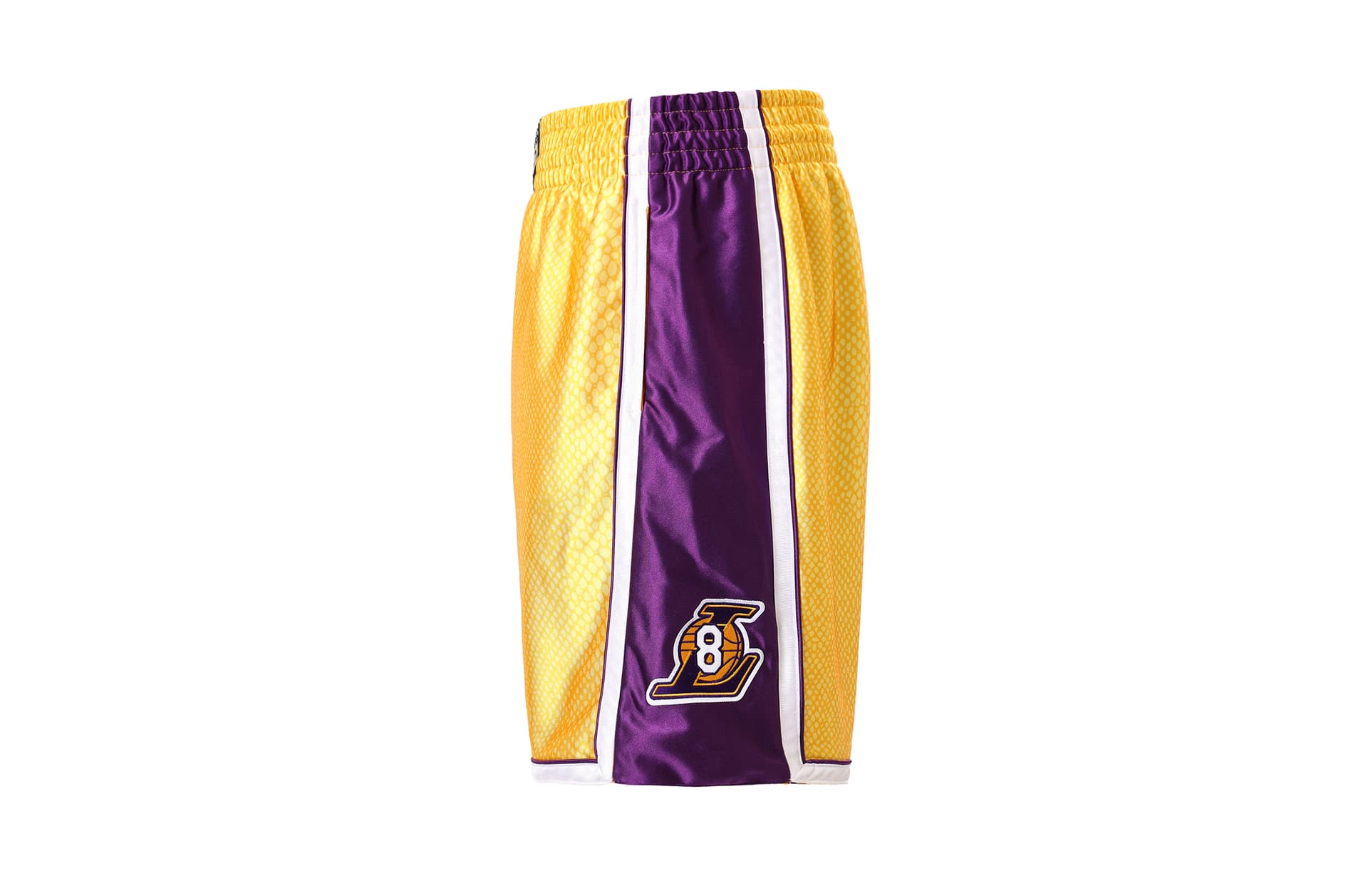 Баскетбольные шорты Mitchell Ness - изображение 3