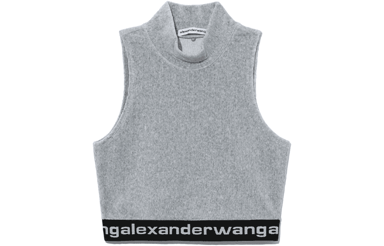 alexander wang FW21 Logo - изображение 1