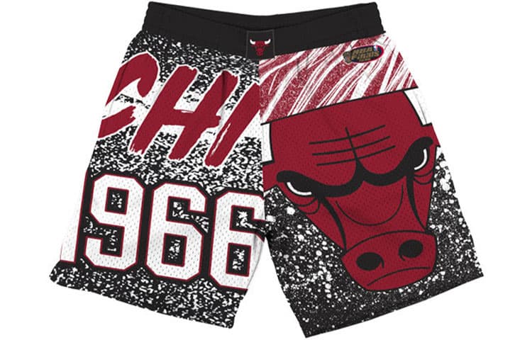 Баскетбольные шорты Mitchellness NBAlogo SW - изображение 1
