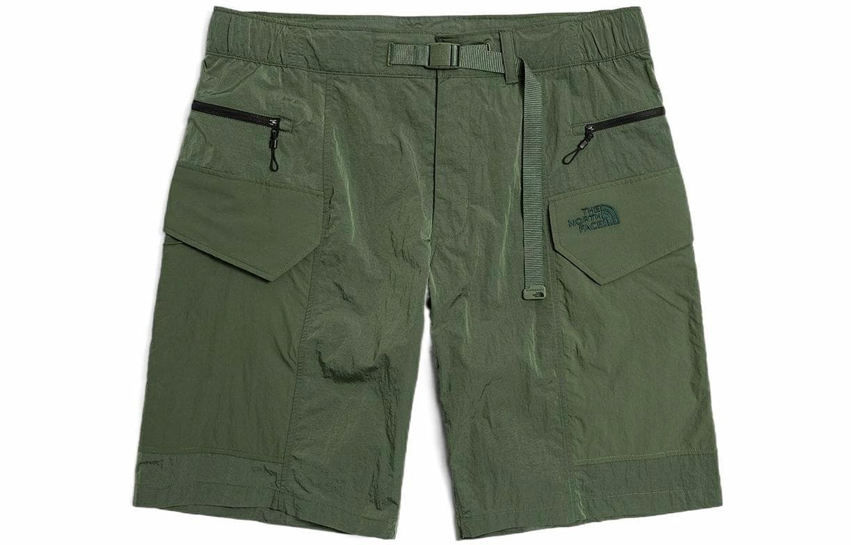 Шорты THE NORTH FACE FW22 FW22 Logo - изображение 1