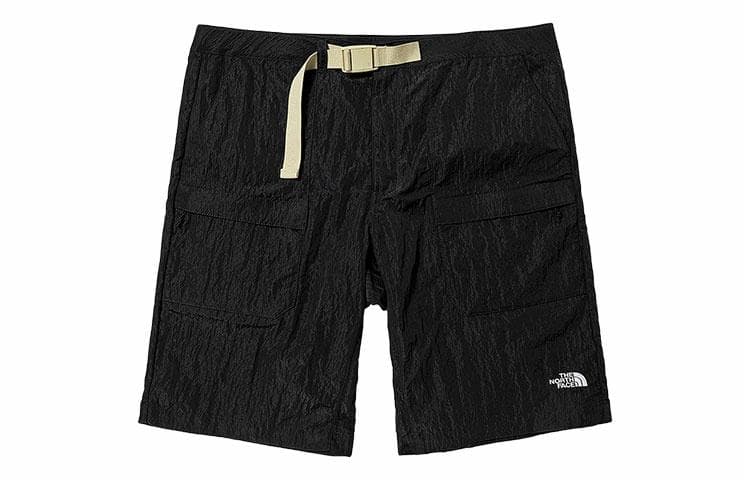 Шорты THE NORTH FACE Logo - изображение 1