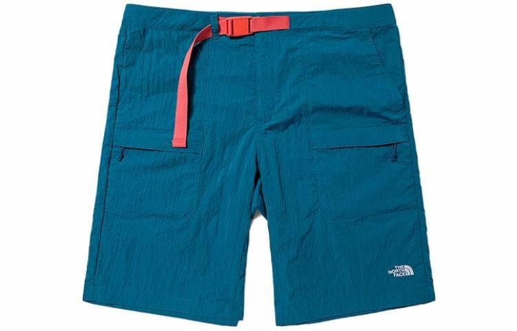 Шорты THE NORTH FACE Logo - изображение 1
