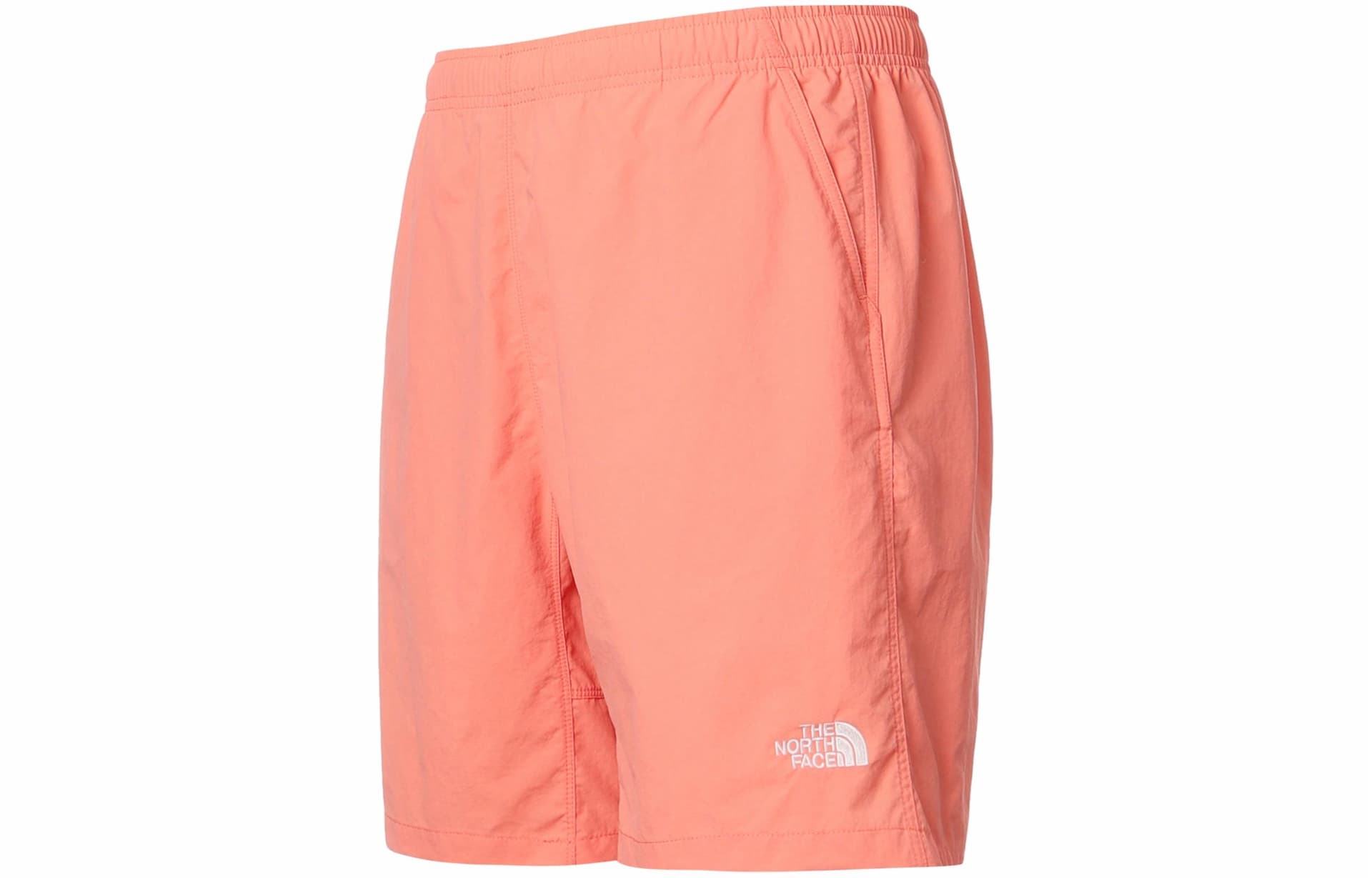 Шорты THE NORTH FACE Logo - изображение 1
