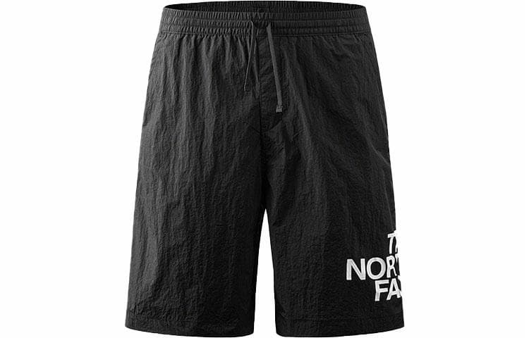Шорты THE NORTH FACE 23SS Logo - изображение 1