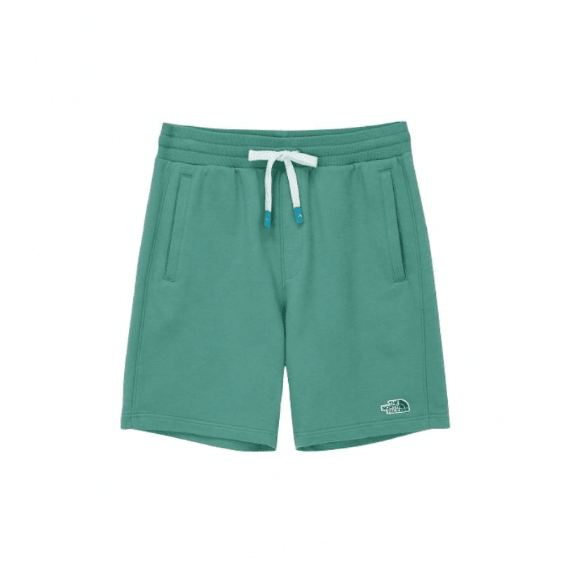 Шорты The North Face Logo Shorts Green - изображение 1