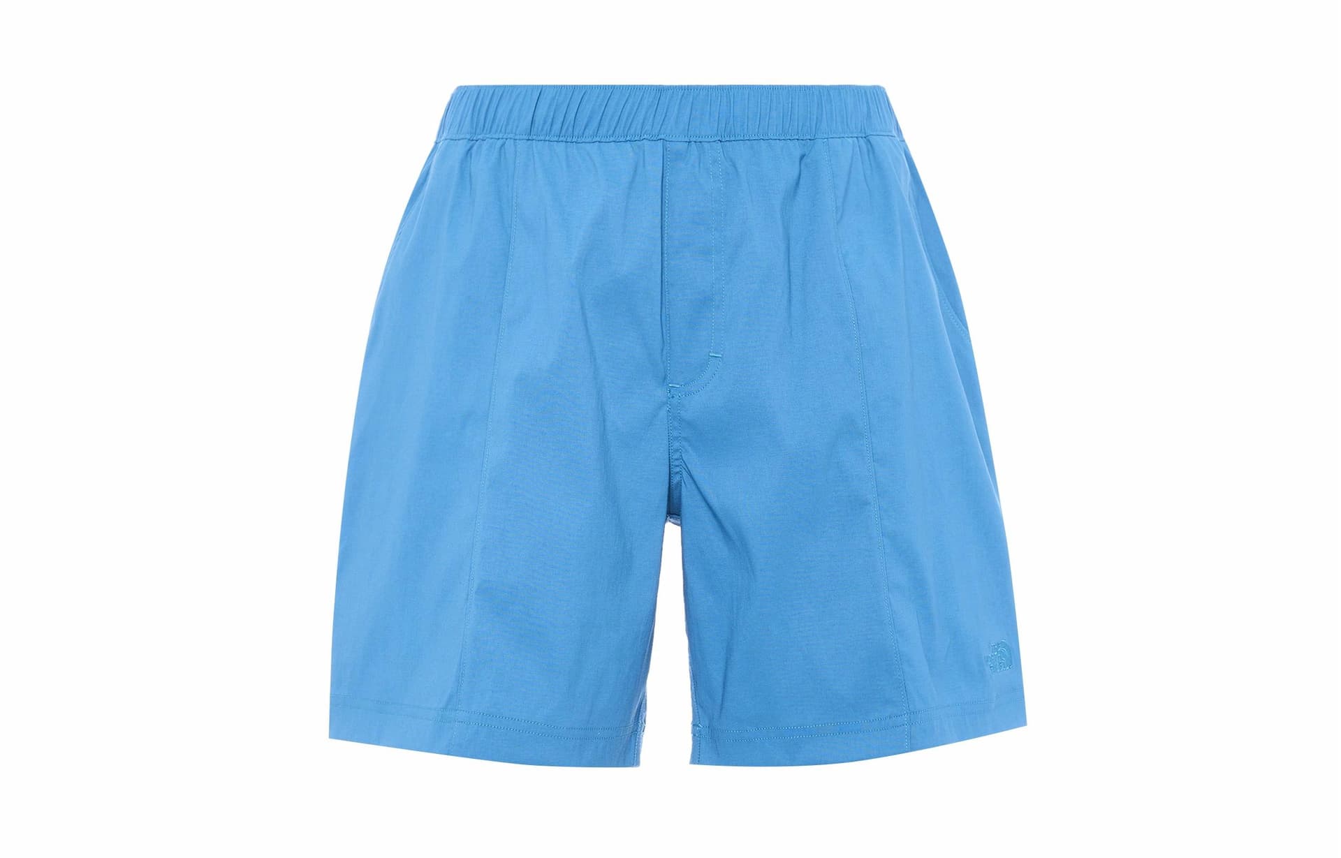 Шорты The North Face Logo Print Shorts Blue - изображение 1