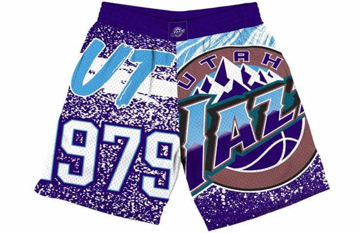 Баскетбольные шорты Mitchellness NBAlogo SW - изображение 1