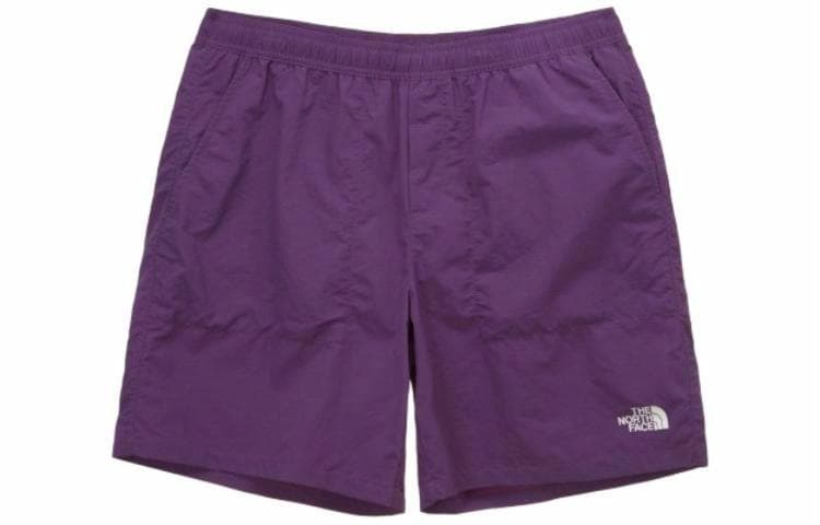 Шорты THE NORTH FACE Logo - изображение 1